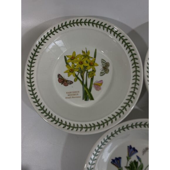3 PORTMEIRION BOTANIC GARDEN 8 1/2" Rimmed Soup/Pasta Bowls Assorted - Picture 3 of 10